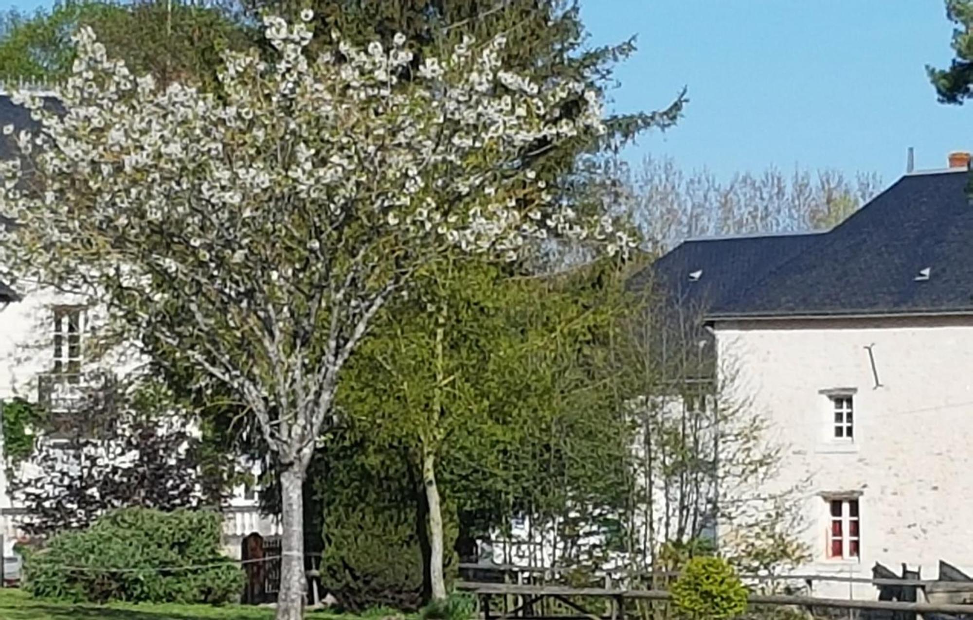Domaine Du Moulin Neuf Aux Portes De Beauval Nouans-les-Fontaines المظهر الخارجي الصورة