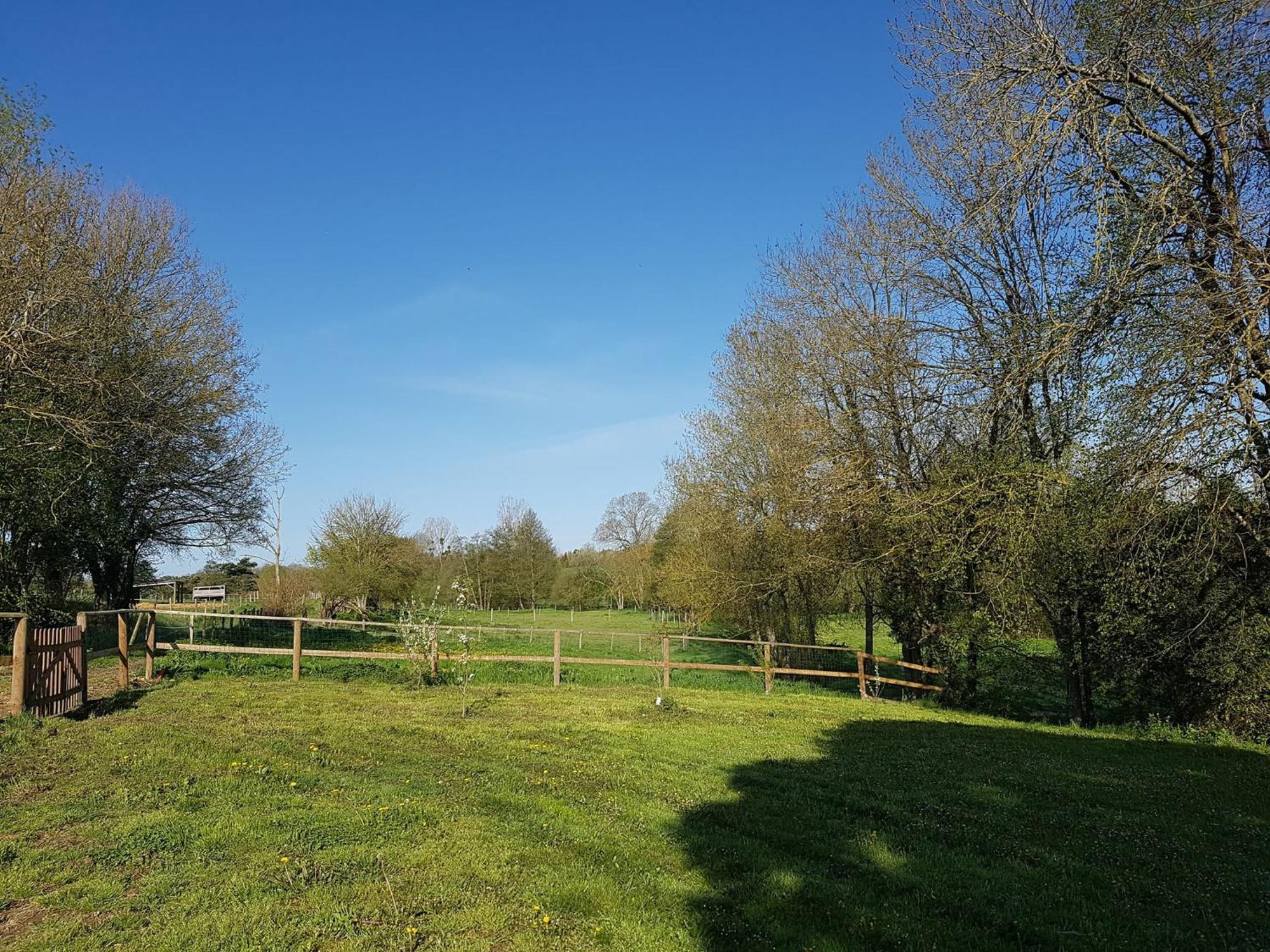 Domaine Du Moulin Neuf Aux Portes De Beauval Nouans-les-Fontaines المظهر الخارجي الصورة