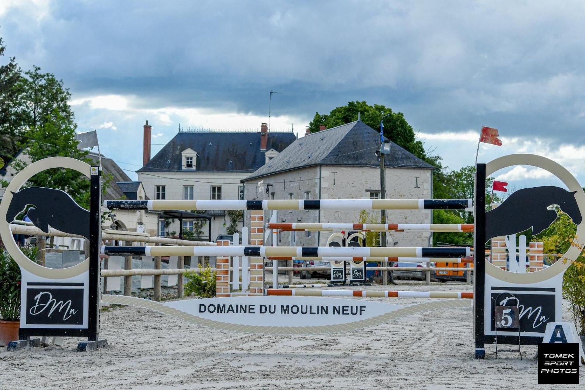 Domaine Du Moulin Neuf Aux Portes De Beauval Nouans-les-Fontaines المظهر الخارجي الصورة